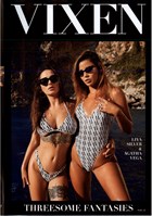 Threesome Fantasies 12