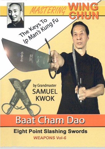 Rent Mastering Wing Chun 6 Keys to Ip Man's Kung DVD